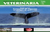 05-2 informacion veterinaria mayo-2007 · 2017-03-03 · en peligro de extinción por Paulino Díez. Pág. 11 05-2_informacion_veterinaria_mayo-2007.qxp 18/05/2007 15:38 PÆgina 1.