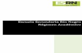 Escuela Secundaria Río Negro Régimen Académicounterseccionalroca.org.ar/imagenes/documentos/leg/Resolucion 4617... · ... CONSIDERACIONES GENERALES ... organiza el trabajo docente