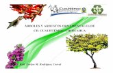 ÁRBOLES Y ARBUSTOS ORNAMENTALES DE CD. …municipiocuauhtemoc.gob.mx/20132016/wp-content/uploads/2015/04/... · Asegúrate de elegir la especie adecuada para el sitio de plantación.