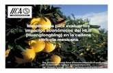 Impactos HLB en Mex 26Ago2016 - Instituto … HLB de los cítricos El HLB se considera una de las enfermedades más destructivas de la citricultura mundial, porque los árboles pueden