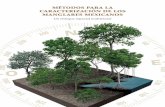 MÉTODOS PARA LA CARACTERIZACIÓN DE LOS …bioteca.biodiversidad.gob.mx/janium/Documentos/14078.pdf · CARACTERIZACIÓN DE LOS MANGLARES MEXICANOS ... 2.5 Ejemplos de protocolos