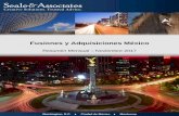 Fusiones y Adquisiciones México - mnamexico.commnamexico.com/wp-content/uploads/2017/12/Noviembre-2017.pdf · el valor de las transacciones en México descendió a US$111 millones,