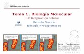 Tema 1. Biología Molecular - dpbiologia.weebly.comdpbiologia.weebly.com/uploads/2/1/5/5/21553524/gtp_t1._biología... · por la concentración de lactato que el cuerpo puede tolerar.