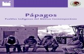 Pápagos - El portal único del gobierno. | gob.mx · El territorio pápago se ubica en el desierto sonorense, y comprende, en-tre otros, el estado de Sonora en Méxi-co y el de Arizona