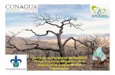 Avances del Programa de Medidas Preventivas y de Mitigación de la Sequía en la ... · 2013-12-02 · particulares en cada entidad del país…” Discurso del Presidente de ...