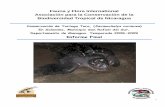 Proyecto de conservación de tortuga tora - tortugasnicas.org · importancia de la conservación de las tortugas marinas en Salamina. Así mismo, no hay una aplicación efectiva de