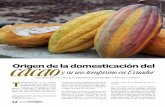 Fotografía: Archivo El Comercio · bruja, hace unos 100 años, engendró la introducción masiva de cacao extranje-Origen de la domesticación del y su uso temprano en Ecuador ...