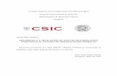 Consejo Superior de Investigaciones Científicas (CSIC) Zaragoza · 2011-07-09 · INFORME DIRECTORES ... sobre todo sus aportaciones tanto científicas como lingüísticas a las