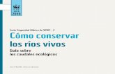 Guía sobre los caudales ecológicos - agua.unam.mx · generales de la ONU, ... de los ecosistemas dulceacuícolas y de los servicios que ... simulación del hábitat y métodos holísticos.