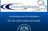 Coordinadora de la Licenciatura Dra. Ma. Esther Meave del ...oceanologia.ens.uabc.mx/aformar/documentos/presentaciones/acapulco... · Acuicultura, El sistema Acuícola, Las Especies,
