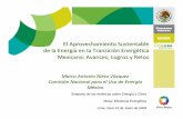 El Aprovechamiento de la Energía en la Transición ...oas.org/dsd/Energy/Meeting/Peru_06_09/Marco_Antonio_Nieto.pdf · •El establecimiento de un programa para la certificación