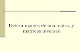 Determinantes de una matriz y matrices inversas - MATE 3172 · Hallar la matriz inversa – 3 x 3 Ejemplo continuado: Paso 3: Hallar matriz de cofactores (matriz adjunta) Hallar todos