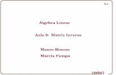 Álgebra Linear Aula 9: Matriz Inversa Mauro Rincon Márcia ...rincon/Disciplinas/Algebra Linear/Aula_009.pdf · 9.24 7.3 - Método Prático para Determinar a Matriz Inversa Passo