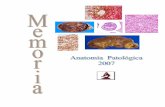 Memoria 2007 – Anatomía Patológica - opolanco.es · biopsias, citologías, punciones y autopsias, además de proporcionar elementos fundamentales para la evaluación del pronóstico