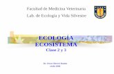 ECOLOGÍA ECOSISTEMA - udec.clcaagronomia/Eco/Tema 2 y 3.pdf · Biocenosis - biogeocenosis: ecosistema en lit.europea ... Ejemplos: tundra, bosque templado lluvioso, desierto, etc.