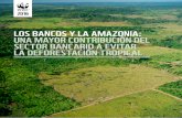 LOS BANCOS Y LA AMAZONIA: UNA MAYOR CONTRIBUCIÓN …d2ouvy59p0dg6k.cloudfront.net/downloads/los_bancos_y_la_amazonia... · construyan carreteras, al tiempo que la expansión de las