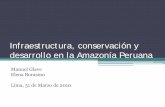 Infraestructura, conservación y desarrollo en la Amazonía ... · • Economía Política de la Amazonía Peruana: percepciones y mitos sobre población y productividad, y el dilema