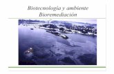 Biotecnología y ambiente Bioremediación - FBMC · Desventajas • Requerimiento de grandes áreas • Liberación de compuestos volátiles • Necesidad de impermeabilización •