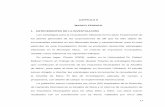 CAPITULO II MARCO TEORICO 1. ANTECEDENTES DE LA INVESTIGACIÓNvirtual.urbe.edu/tesispub/0093421/cap02.pdf · necesaria para la renovación y actualización de la organización dentro