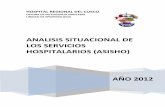 ANALISIS SITUACIONAL DE LOS SERVICIOS …hospitalregionalcusco.gob.pe/descargas/documentos/AnalisisSituac... · El Análisis situacional de los servicios del Hospital Regional, ...