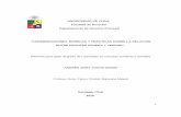 UNIVERSIDAD DE CHILE “CONSIDERACIONES TEÓRICAS Y …repositorio.uchile.cl/tesis/uchile/2010/de-fuchs_a/pdfAmont/de... · del proceso civil, las funciones que tiene la prueba en