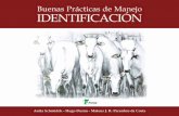 Buenas Prácticas de Manejo IDENTIFICACIÓN - ETCOgrupoetco.org.br/arquivos_br/manuais/manual_buenas_practicas_de... · La identificación individual de los bovinos es un paso importante