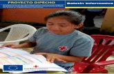 Boletin Dipecho 2 · de Cruz Roja Ecuatoriana de Napo en las dos loca-lidades con la ˜nanciación de la Comisión Europea a través del Departamento de Ayuda Humanitaria