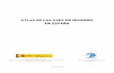 ATLAS DE LAS AVES EN INVIERNO EN ESPAÑA - Luis M. …lmcarrascal.eu/pdf/atlasinv2.pdf · ATLAS DE LAS AVES EN INVIERNO EN ESPAÑA Servicio de Vida Silvestre Subdirección General