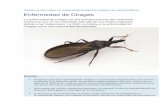 Enfermedad de Chagas - laboratoriosmar.com.ar filede las poblaciones más pobres en los países endémicos, mantener los programas de control ... Estas vías son importantes en países