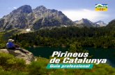 Pirineus de Catalunya - ACT.CATact.gencat.cat/wp-content/uploads/2013/05/Guia_professional... · la cultura hebrea que es conserva a Europa. 12. Sant Pere de Rodes ... La muntanya