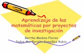 Aprendizaje de las matemáticas por proyectos de investigación · matemáticas por proyectos de investigación Aprendizaje de las matemmatemáticas por proyectos de investigacide