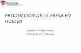 PRODUCCION DE LA FRESA EN HUELVA - freshuelva.esfreshuelva.es/.../2016/02/AlbertoGarrocho_FL_2014-2-octubre-2014.pdf · • La zona productora de fresas alterna con cultivos tradicionales: