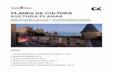 PLANES DE ACCIÓN DE CULTURA - culturanavarra.es · Convocatoria anual de subvenciones a las Entidades Locales de Navarra destina- ... Numismática y Arte Contemporáneo, – y del