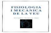 FISIOLOGIA I MECÀNICA DE LA VEU - bigmamamontse.com · Fisiologia i Mecànica de la Fonació Pàg. 1 Montserrat Pratdesaba Ribas INDEX 1.-