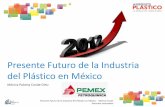 Presente Futuro de la Industria del Plástico en México · Producción Mundial de Plásticos por país y Región Europa 25%, 61 MTon ... demanda Incremento de capacidad de ... No