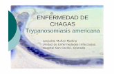 ENFERMEDAD DE CHAGAS Trypanosomiasis americana - …fundacionio.org/docs/cursos/emergentes_granada_chagas.pdf · Con puerta de entrada aparente: Signo de Romaña (edema parpebral