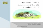 4 Vocabulario - CRPIH · proxecto desde o inicio, ó doutor Paulo Morenito da Universidade do Algarve, que nos axudou coa terminoloxía en lingua portuguesa, a Antonio Villalba e