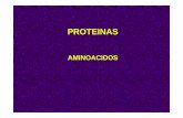 4 - 2017- Teor a Unidad 4 amino cidos · 4 Son biopolímeros naturales, heteropoliamidas, constituidos por α-L-aminoácidos unidos entre sí, mediante uniones peptídicas y con ordenamiento