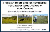 Trabajando en predios familiares: resultados productivos y ... Tacuarembó/entore planificado... · asignación de potreros según altura del pasto y categoría animal MEDIDAS DE