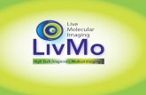Medicina Nuclear - Home | LivMo - Live Molecular Imaging ... · Medicina Nuclear Imágenes Moleculares Vivas en maltrato Sandra C. Gracia López, MD, DABNM, DABNC