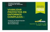 VIABILIZAR PROYECTOS EN ENTORNOS COMPLEJOSmedia.arpel2011.clk.com.uy/cartagena/D2LuisCaceres.pdf · El negocio de refinación de Ecopetrol Bogotá Cartagena Barrancabermeja Apiay