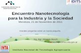 FUNDACIÓN ARGENTINA DE NANOTECNOLOGÍA Encuentro ... fileRelación entre Conocimiento y Utilidad Social Directa. Anticipación I+D+i Complementaridad Construcción del Futuro Gestión
