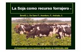 La Soja como recurso forrajero - tierrasycampos.com · • Utilizar un cultivar de grupo de maduración tardía (Grupo 7 u 8) En Iowa ya se están utilizando cultivares mejorados