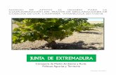 Manual 2017 Cosecha de uva Definitivo 05102017 - juntaex.es · MANUAL DE APOYO AL USUARIO PARA LA ... de disposición sobre el cultivo. ... de uva, al consumo como uva de mesa, ...