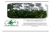 RESUMEN DEL MANIFIESTO DE IMPACTO AMBIENTALsinat.semarnat.gob.mx/dgiraDocs/documentos/chis/resumenes/2010/07... · ... en la cual se destruyeron algunas superficies de selvas por