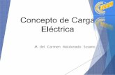 Concepto de Carga Eléctrica - dcb.fi-c.unam.mxdcb.fi-c.unam.mx/CoordinacionesAcademicas/FisicaQuimica... · Objetivo El alumno determinará campo eléctrico, diferencia de potencial