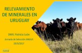 RELEVAMIENTO DE MINERALES EN URUGUAYangusuruguay.com/wp-content/uploads/2017/04/relevamiento-carencias... · POR QUE UN RELEVAMIENTO DE MINERALES??? Originariamente este trabajo NO