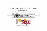 TRABAJO FINAL DE GRADO. - dspace.umh.esdspace.umh.es/bitstream/11000/1903/1/José Serrano Pérez..pdf · disciplinas como el atletismo de fondo, se planifican entrenamientos con intensidades