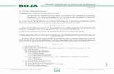 BOJA - Junta de Andalucía · normas ISSAI -ES 200 Principios fundamentales de la fiscalización o auditoría financiera , ISSAI - ES -300 Principios fundamentales de la fiscalización