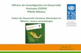 Oficina de Investigación en Desarrollo Humano (OIDH) PNUD ...seieg.iplaneg.net/seieg/doc/IDH_mun_principales_resultados... · • La brecha en desarrollo humano entre Quintana Roo